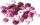 Holzlinsen-Mix Stärke: 5 mm Ø 10 mm Buche Deutschland rosa pink