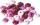 KNORR PRANDELL 216023524 Holzlinsen-Mix Stärke: 5 mm Ø 10 mm Buche Deutschland rosa pink