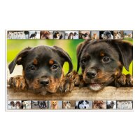 Herma Schreibunterlage Karton 55 x 35 cm Hunde