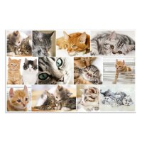 Herma Schreibunterlage Karton 55 x 35 cm Katzen