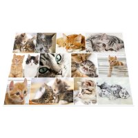 Herma Schreibunterlage Karton 55 x 35 cm Katzen