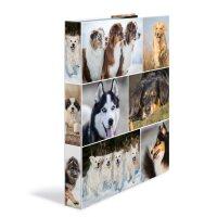 Herma Ringbuch Karton 2D-Ring A4 35 mm Rückenbreite Hunde