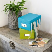Goldbuch Aufbewahrungsbox Bella Vista grün