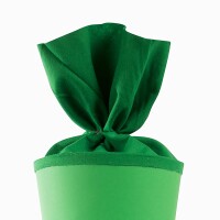 Goldbuch Bastelschultüte 70cm mit farbigem Filzverschluss grün