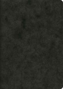 BRUNNEN Heft A6 48 Blatt dotted (gepunktet) schwarz FACT!plus