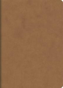 BRUNNEN Heft A6 40 Blatt liniert braun FACT!pl