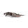Metal Earth Game of Thrones Drogon