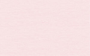 Ursus BRIEFKARTEN DIN LANG,10BL.ROSA