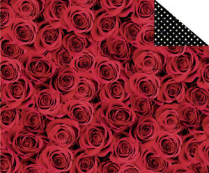 Ursus FOTOKARTON "HOCHZEIT KLASSIK"300G.49,5x68CM,MOT.02