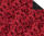 Ursus FOTOKARTON "HOCHZEIT KLASSIK"300G.49,5x68CM,MOT.02