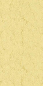 Ursus ELEF.HAUT-BRIEFK.190G.DIN LANG,10ST.CHAMOIS