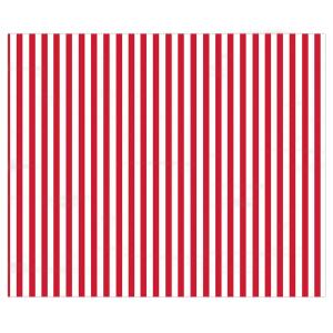 Ursus STREIF.-FOTOKARTON 300G.49,5x68CM,WEISS/ROT
