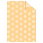 Ursus FOTOKARTON "DOTS&STRIPES"300G.A4,APRICOT