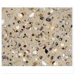 Ursus MOTIV-FOTOKARTON 300G.49,5x68CM,MUSCHELN