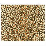Ursus FOTOKARTON "TIERFELL"300G.49,5x68CM,LEOPARD
