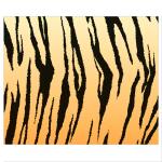 Ursus FOTOKARTON "TIERFELL"300G.49,5x68CM,TIGER