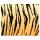 Ursus FOTOKARTON "TIERFELL"300G.49,5x68CM,TIGER