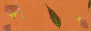 Ursus BLÜTENPAPIER 80G.50x70CM,ORANGE