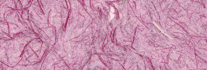 Ursus GRASPAPIER 80G.50x70CM,PINK