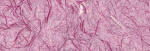 Ursus GRASPAPIER 80G.50x70CM,PINK