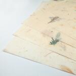 Ursus BOTANICA 35G.23x33CM,5BL.5MOTIVE SORTIERT