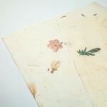 Ursus BOTANICA 35G.23x33CM,5BL.5MOTIVE SORTIERT