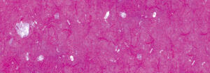 Ursus MUSCHELPAPIER 70G.50x70CM,PINK