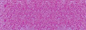 Ursus PERLMUTTKARTON 215G.50x70CM,EOSIN