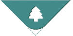 Ursus ECK-LOCHER KLEIN,TANNENBAUM