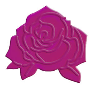 Ursus PRÄGESTANZER ROSENBLÜTE