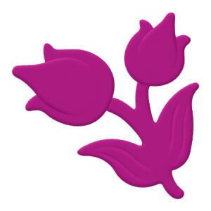 Ursus PRÄGESTANZER TULPEN
