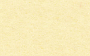Ursus DESIGNFILZ 3,3MM,30x48CM,1BG.CHAMOIS