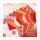 Ursus DESIGNP."RUBY"100G,10x10CM,50BL,SOR.10DE.
