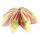 Ursus FLORENTINE "PARADISO" 80G.10CM,RUND,65BL.M.01