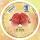 Ursus FLORENTINE "VICHY" 80G.10CM,RUND,65BL.KAR/ROT