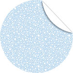 Ursus FLORENTINE "FROSTY"...