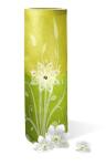 Ursus LATERNENZ.STROHS.25G.20x50CM,25BL.UNI.5FB.SOR.