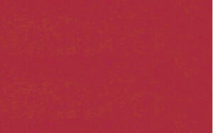 Ursus TRANSP.42G.35x50CM,25BL.ROT