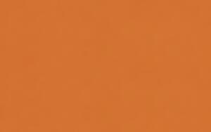 Ursus TRANSP.42G.35x50CM,25BL.ORANGE