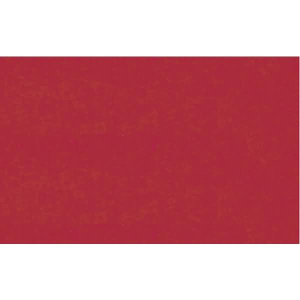 Ursus TRANSP.ROLLE 42G.70x100CM,ROT