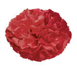 Ursus PAPER POMPONS,SEIDENP.20G.50x70CM,10BG.H.ROT