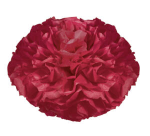 Ursus PAPER POMPONS,SEIDENP.20G.50x70CM,10BG.D.ROT