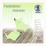 Ursus INTENS.FALTBL.UNI 20x20CM,100BL.MINT