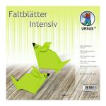 Ursus INTENS.FALTBL.UNI 20x20CM,100BL.HELLGRÜN