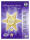 Ursus SILHOUETTEN-STERN "FALLING STARS" 220G. GOLD