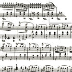 Ursus AURELIO STERN NOTEN "SCHWARZ"115G.20x20CM