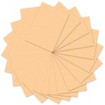 Ursus FOTOKARTON 300G.A4,50BL.APRICOSE