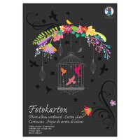 Ursus SONDEREDITIONS-FOTOKTN.300G.DIN A3,10BL.SCHWARZ