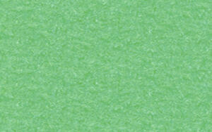 Ursus BASTELKARTON GEP.220G.50x70CM,TROPICGRÜN