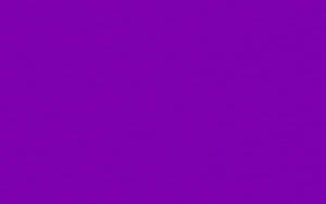Ursus BASTELKARTON GEP.220G.50x70CM,VIOLETT